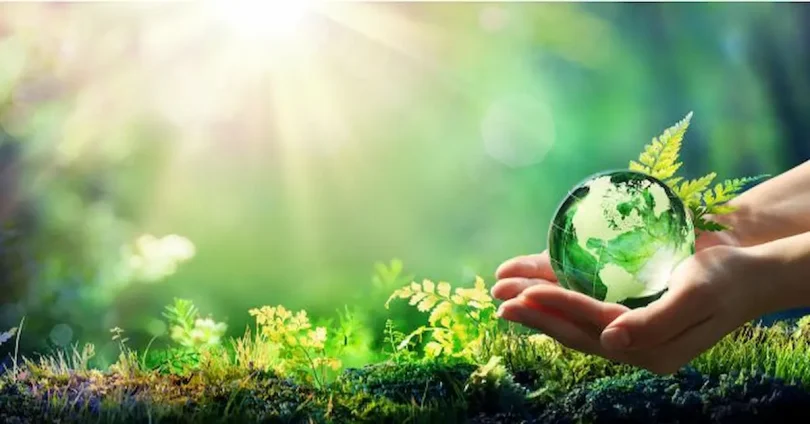 government green policies