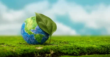 green policy news today